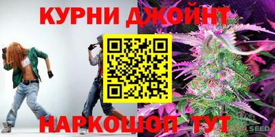 гашик Бийск