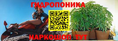 гашик Бийск
