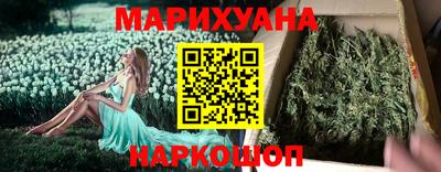 гашик Бийск