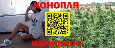 гашик Бийск