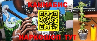 гашик Бийск