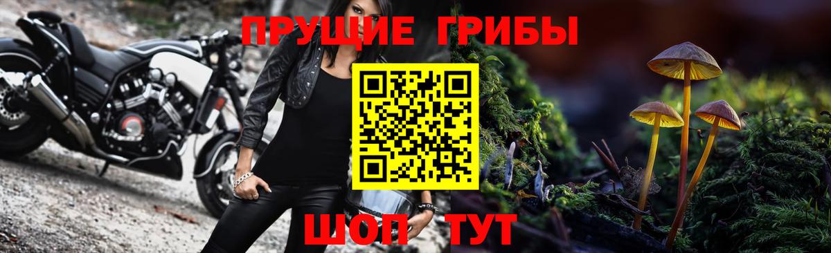 Псилоцибиновые грибы Psilocybe  Вход с VPN  Галлюциногенные грибы Psilocybe  Кандалакша 
